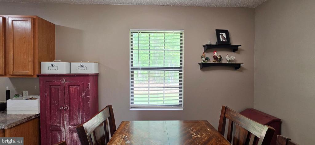 1309 DOCTORS RD, LOUISA, Virginia 23093, 3 Bedrooms Bedrooms, ,2 BathroomsBathrooms,Residential,1309 DOCTORS RD,VALA2009682 MLS # VALA2009682