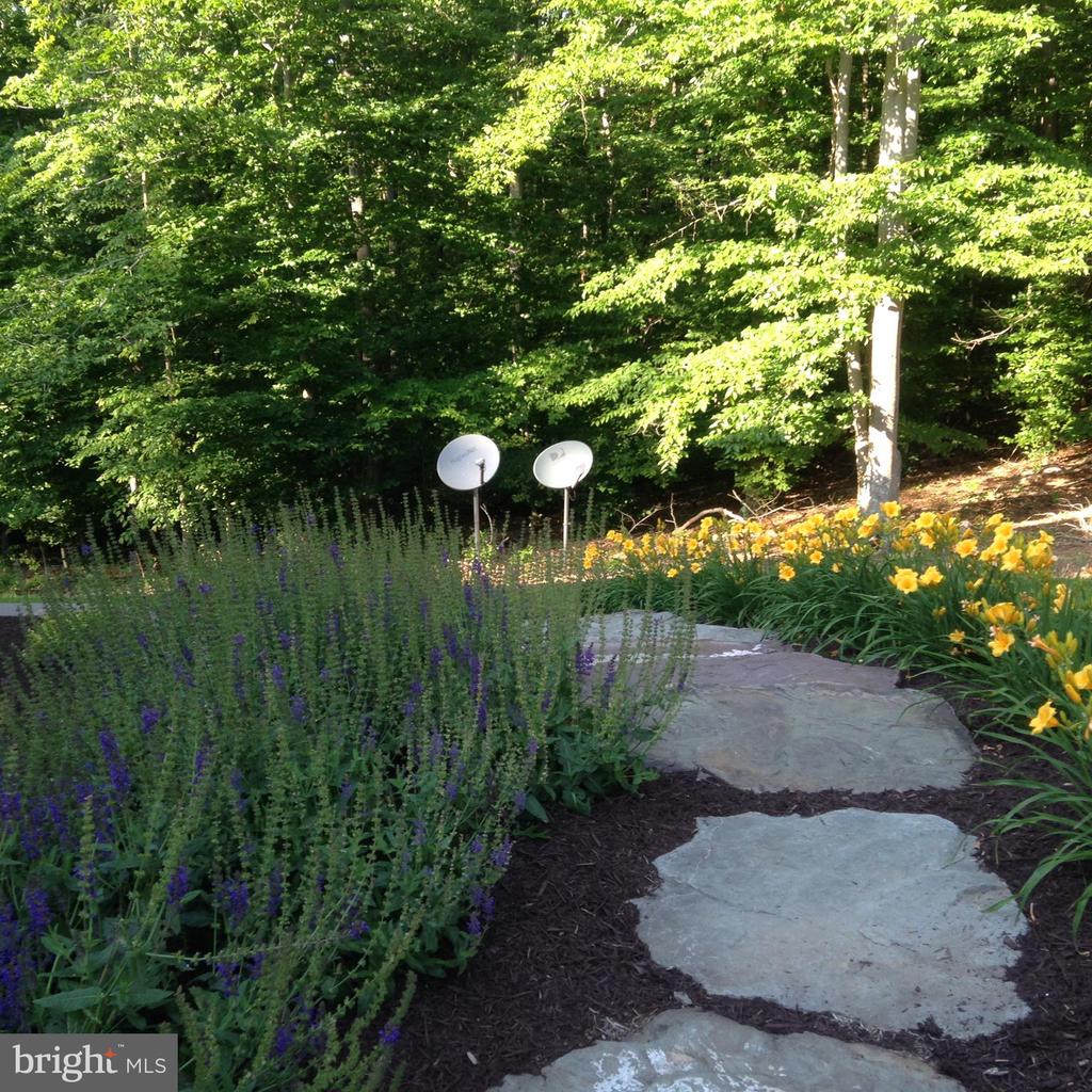 8485 ROGUES RD, WARRENTON, Virginia 20187, 4 Bedrooms Bedrooms, ,4 BathroomsBathrooms,Residential,8485 ROGUES RD,VAFQ2021674 MLS # VAFQ2021674