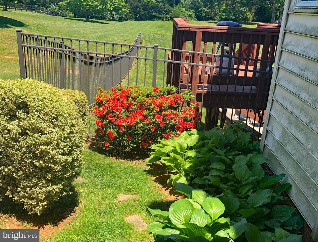 6277 GRIFFINSBURG RD, BOSTON, Virginia 22713, 4 Bedrooms Bedrooms, ,4 BathroomsBathrooms,Residential,6277 GRIFFINSBURG RD,VACU2013378 MLS # VACU2013378