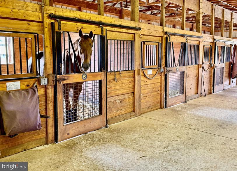 6277 GRIFFINSBURG RD, BOSTON, Virginia 22713, 4 Bedrooms Bedrooms, ,4 BathroomsBathrooms,Residential,6277 GRIFFINSBURG RD,VACU2013378 MLS # VACU2013378