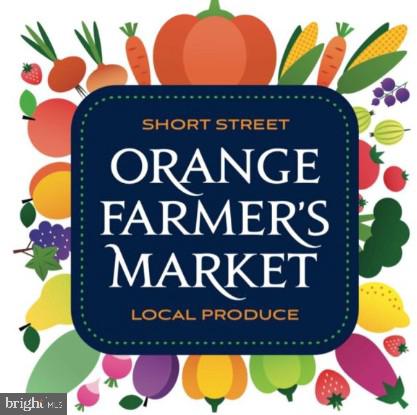 9422 LITTLE SKYLINE DR, ORANGE, Virginia 22960, 3 Bedrooms Bedrooms, ,1 BathroomBathrooms,Residential,9422 LITTLE SKYLINE DR,VAOR2013532 MLS # VAOR2013532