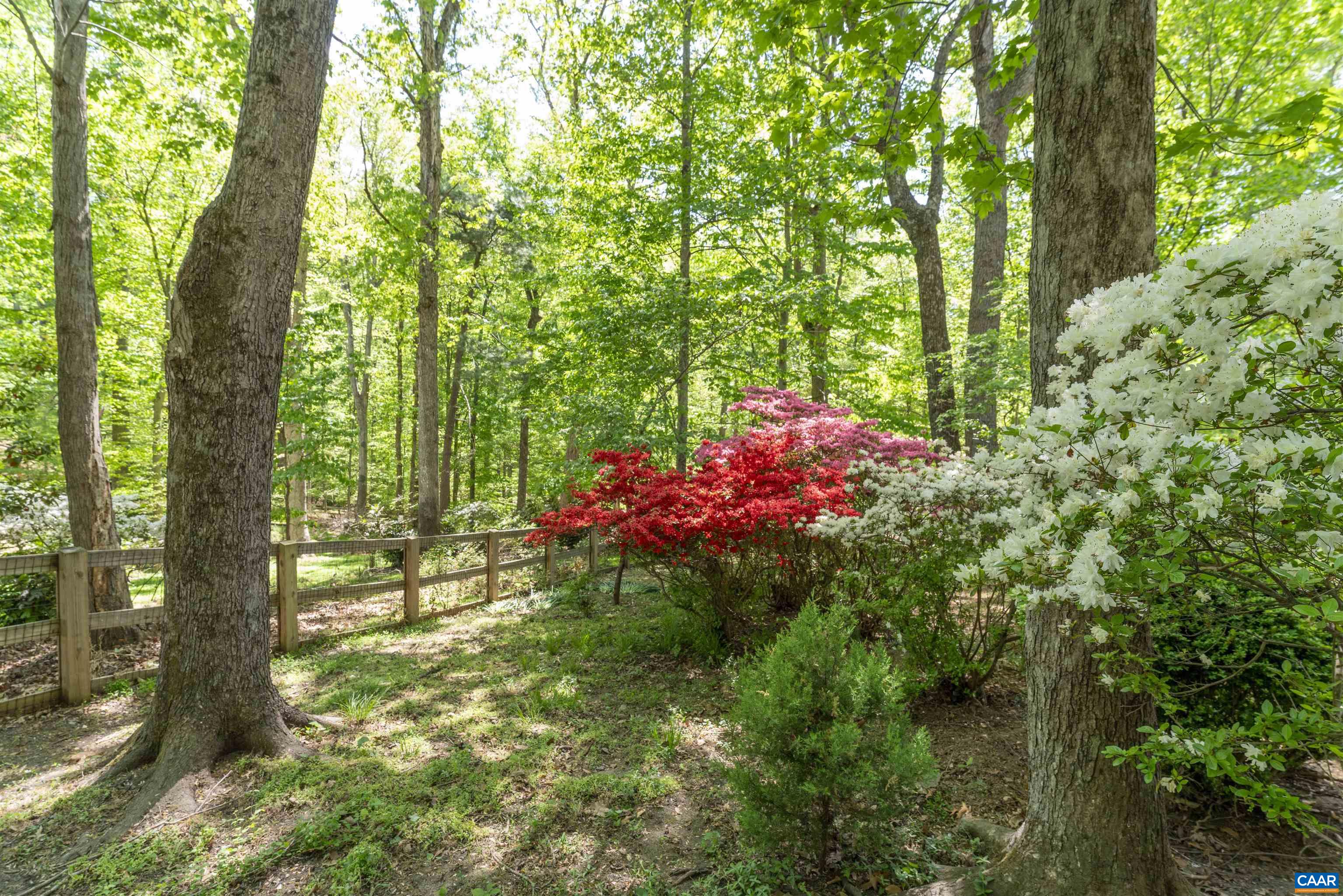 110 CARRSBROOK CT, CHARLOTTESVILLE, Virginia 22901, 4 Bedrooms Bedrooms, ,3 BathroomsBathrooms,Residential,110 CARRSBROOK CT,676011 MLS # 676011