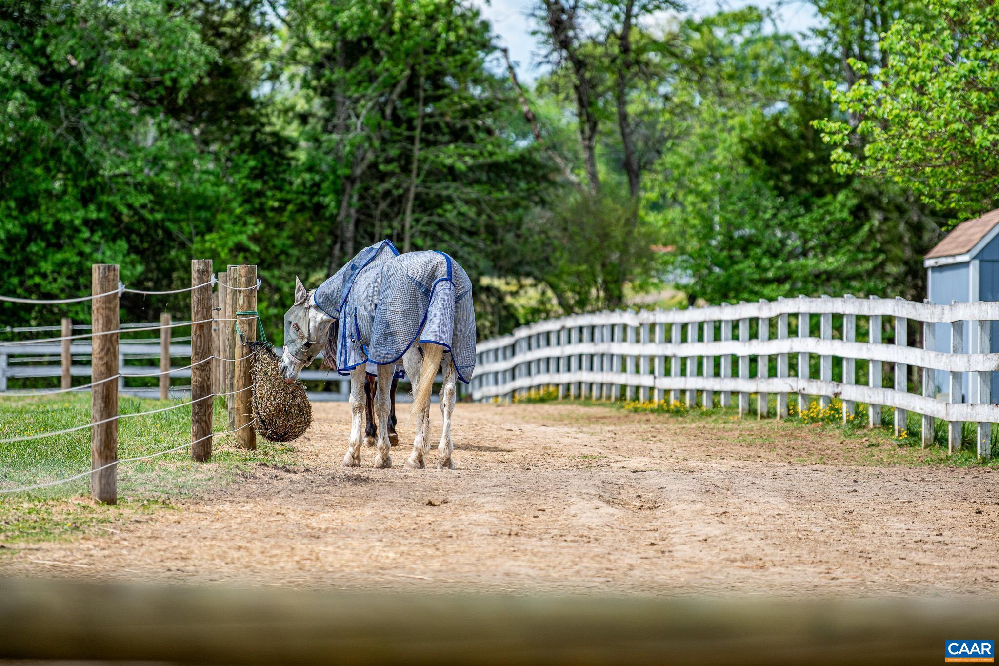 12500 SHANNON HILL RD, LOUISA, Virginia 23093, 3 Bedrooms Bedrooms, ,2 BathroomsBathrooms,Residential,12500 SHANNON HILL RD,676155 MLS # 676155