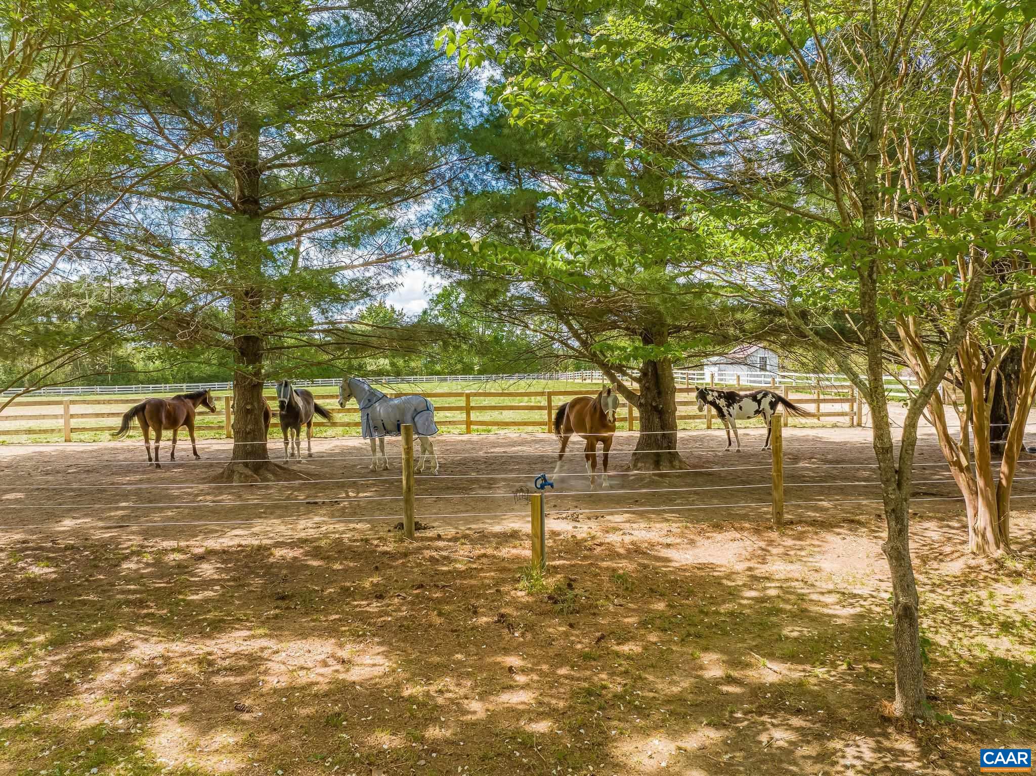 12500 SHANNON HILL RD, LOUISA, Virginia 23093, 3 Bedrooms Bedrooms, ,2 BathroomsBathrooms,Residential,12500 SHANNON HILL RD,676155 MLS # 676155