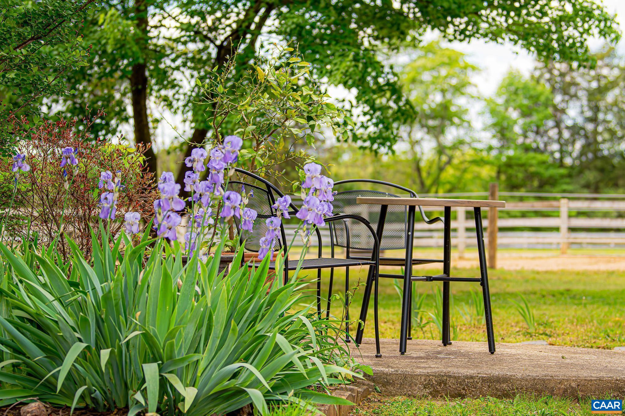 12500 SHANNON HILL RD, LOUISA, Virginia 23093, 3 Bedrooms Bedrooms, ,2 BathroomsBathrooms,Residential,12500 SHANNON HILL RD,676155 MLS # 676155