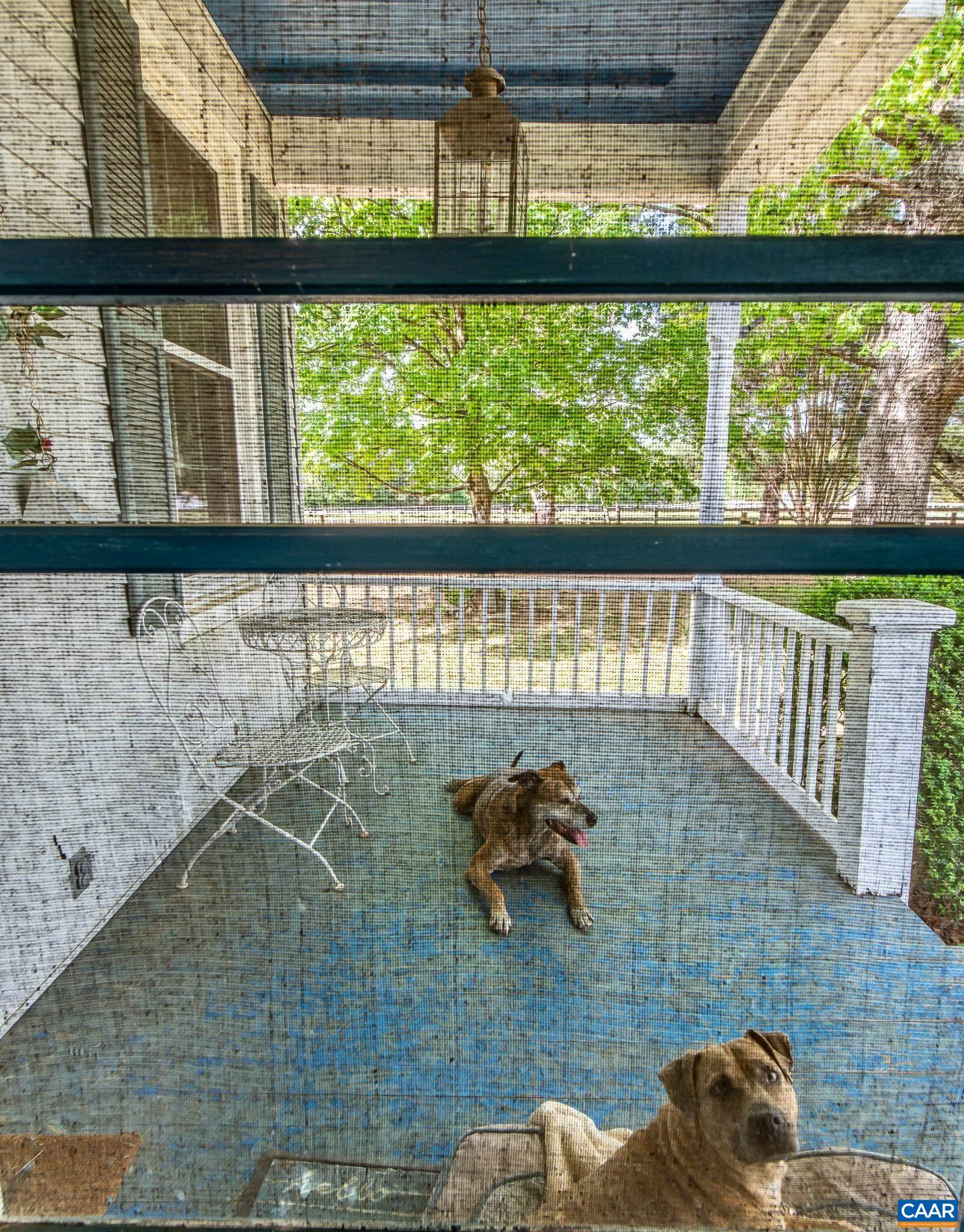 12500 SHANNON HILL RD, LOUISA, Virginia 23093, 3 Bedrooms Bedrooms, ,2 BathroomsBathrooms,Residential,12500 SHANNON HILL RD,676155 MLS # 676155