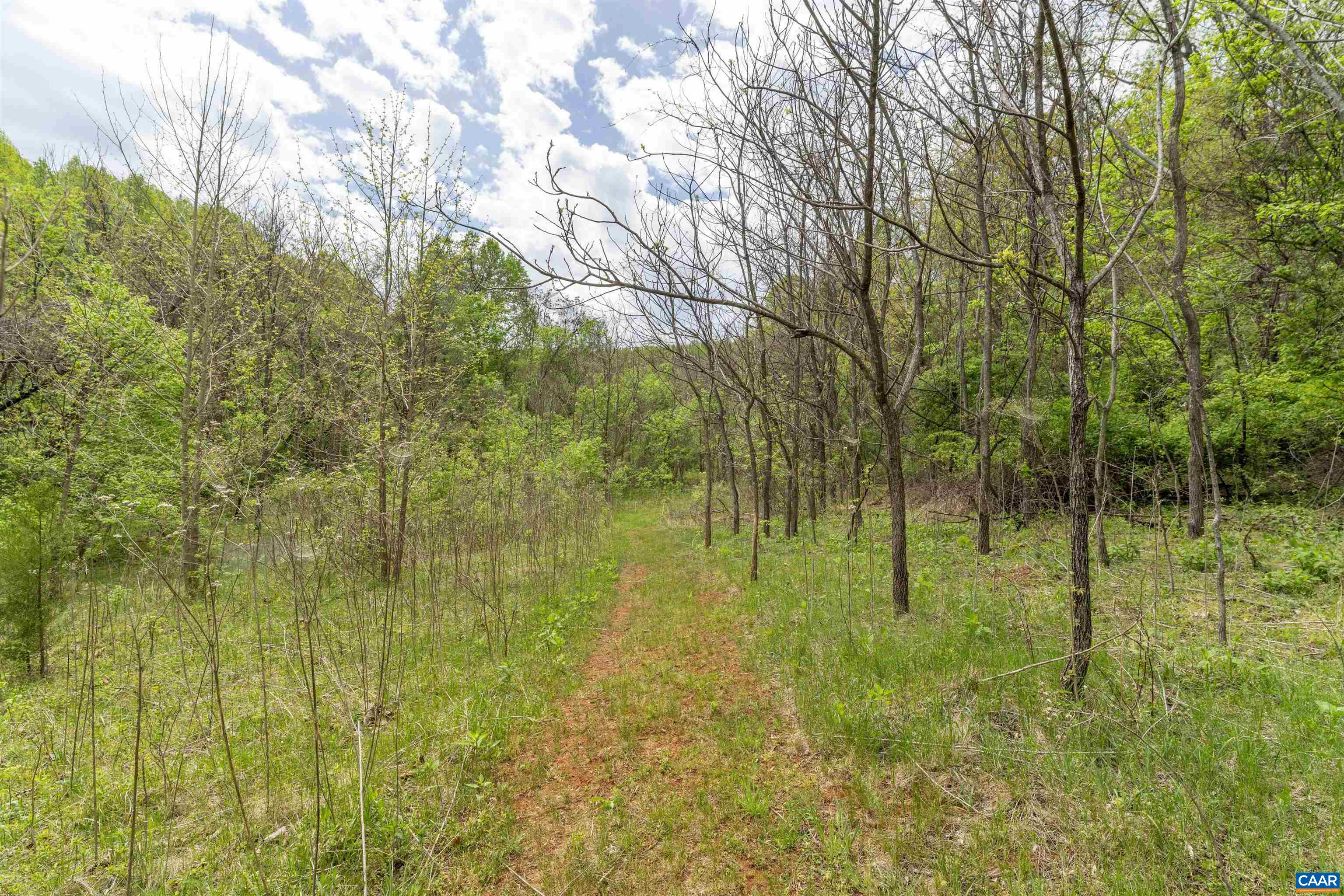 3898 VINEYARD RD, BARBOURSVILLE, Virginia 22923, 3 Bedrooms Bedrooms, ,3 BathroomsBathrooms,Residential,Aviary Hill - Country Cottage small farm perfectio,3898 VINEYARD RD,676159 MLS # 676159