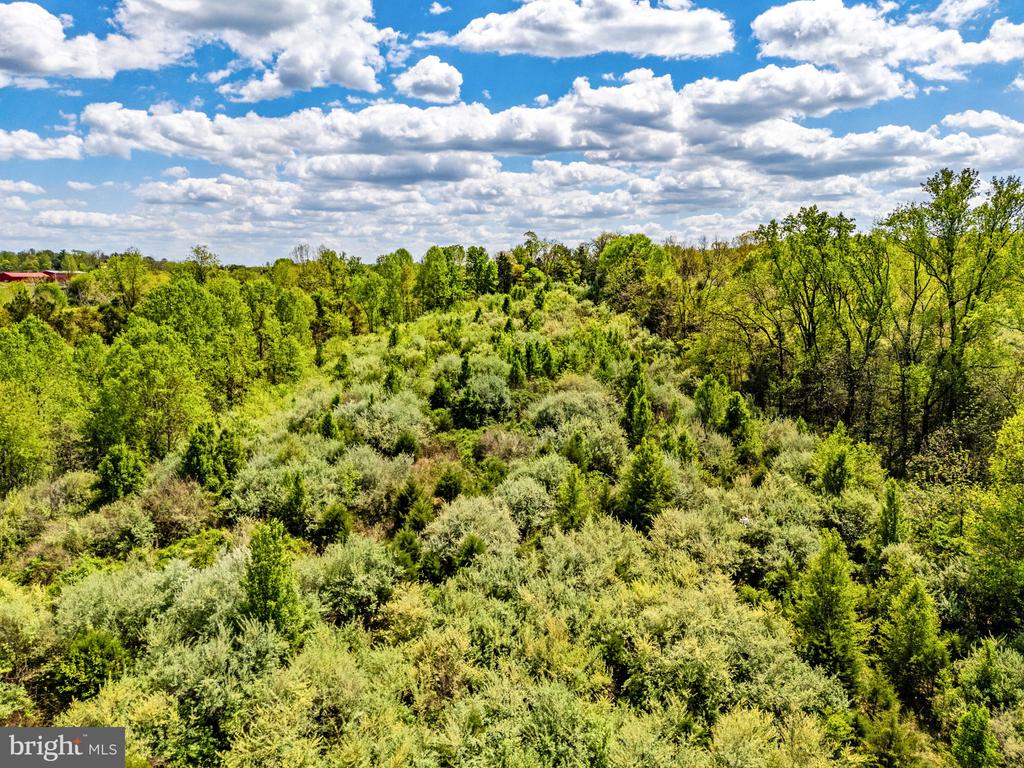 DOCS, AMISSVILLE, Virginia 20106, ,Farm,DOCS,VACU2013354 MLS # VACU2013354