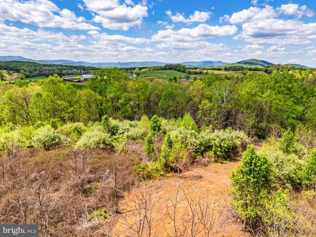 DOCS, AMISSVILLE, Virginia 20106, ,Farm,DOCS,VACU2013354 MLS # VACU2013354