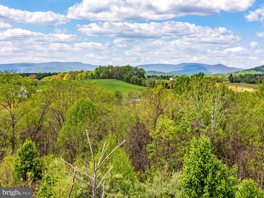 DOCS, AMISSVILLE, Virginia 20106, ,Farm,DOCS,VACU2013354 MLS # VACU2013354