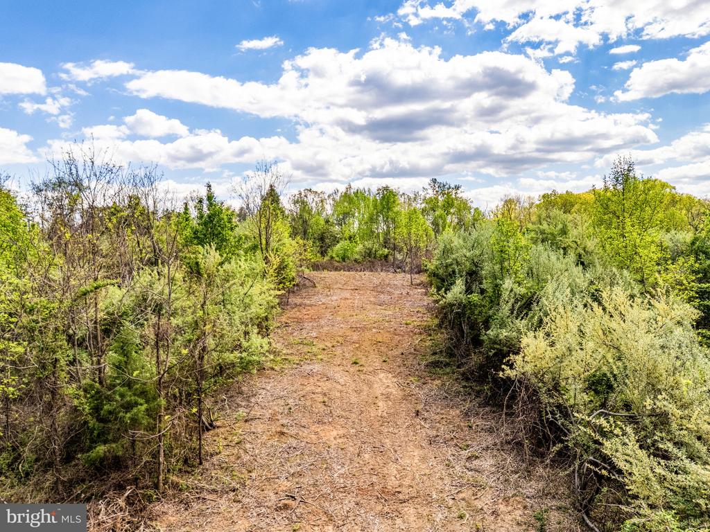 DOCS, AMISSVILLE, Virginia 20106, ,Farm,DOCS,VACU2013354 MLS # VACU2013354