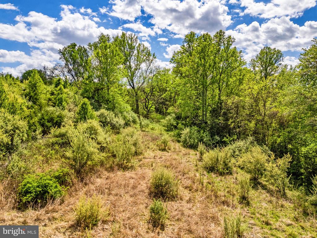 DOCS, AMISSVILLE, Virginia 20106, ,Farm,DOCS,VACU2013354 MLS # VACU2013354