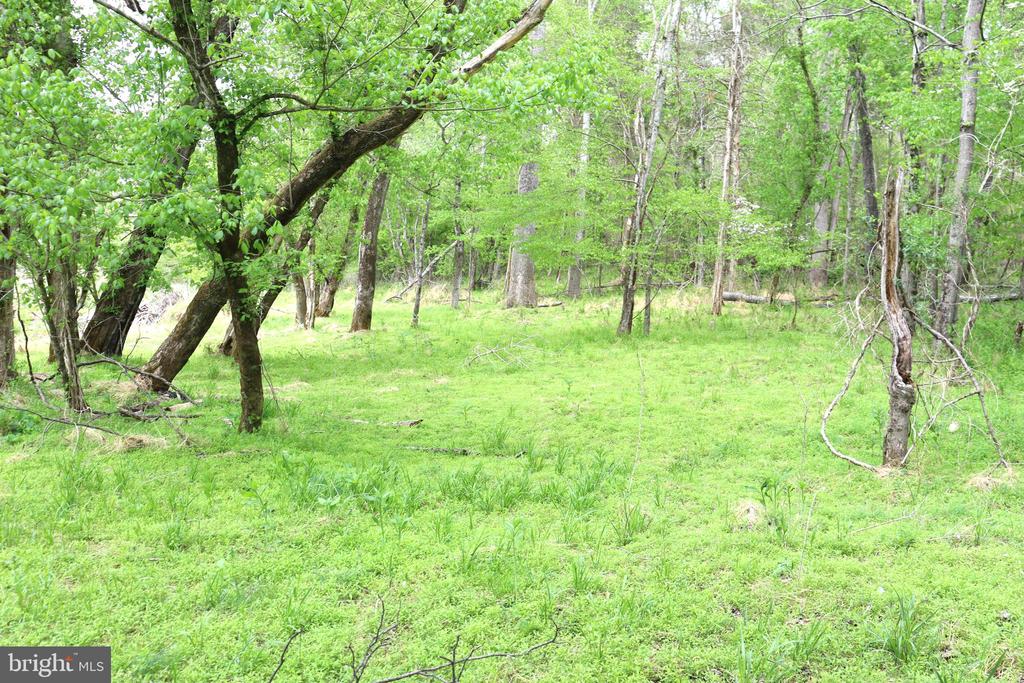 0 HAZEL RIVER RD, RIXEYVILLE, Virginia 22737, ,Land,0 HAZEL RIVER RD,VACU2013372 MLS # VACU2013372