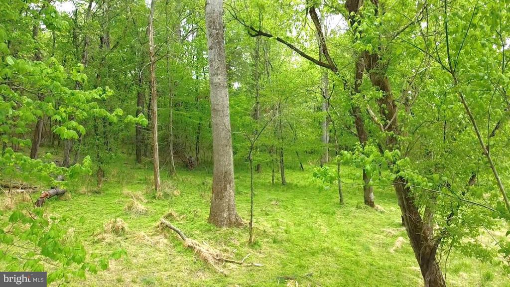 0 HAZEL RIVER RD, RIXEYVILLE, Virginia 22737, ,Land,0 HAZEL RIVER RD,VACU2013372 MLS # VACU2013372