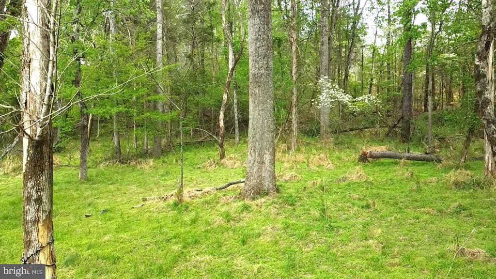 0 HAZEL RIVER RD, RIXEYVILLE, Virginia 22737, ,Land,0 HAZEL RIVER RD,VACU2013372 MLS # VACU2013372