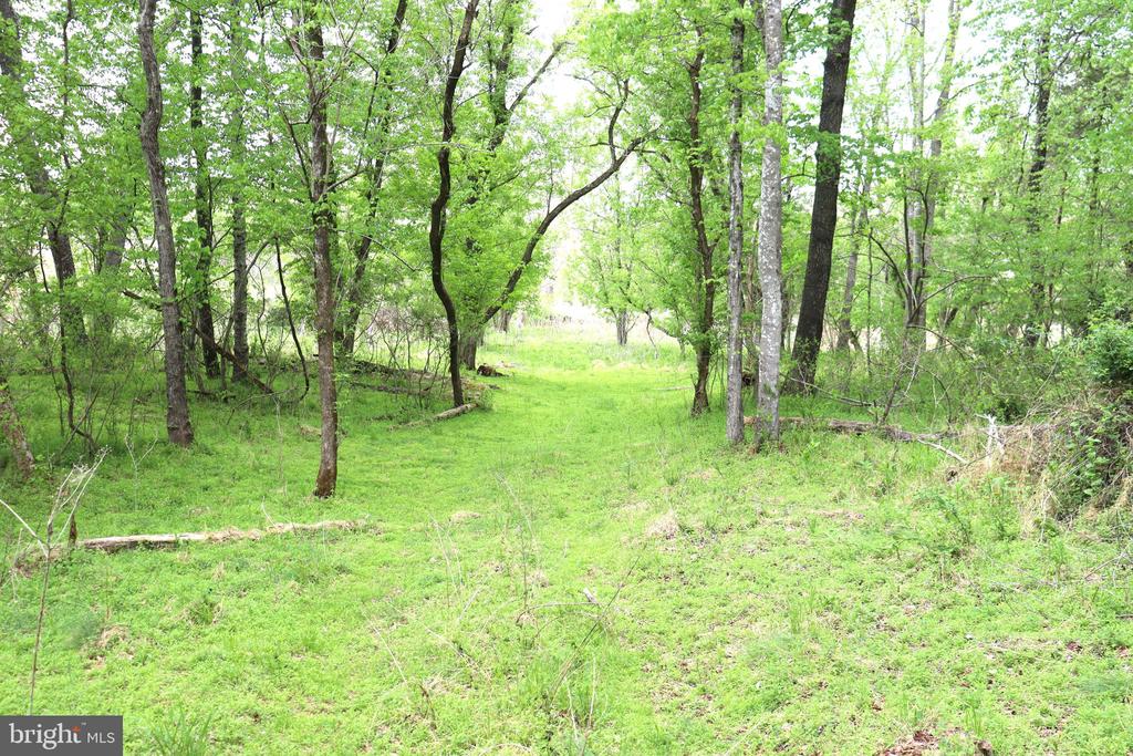 0 HAZEL RIVER RD, RIXEYVILLE, Virginia 22737, ,Land,0 HAZEL RIVER RD,VACU2013372 MLS # VACU2013372