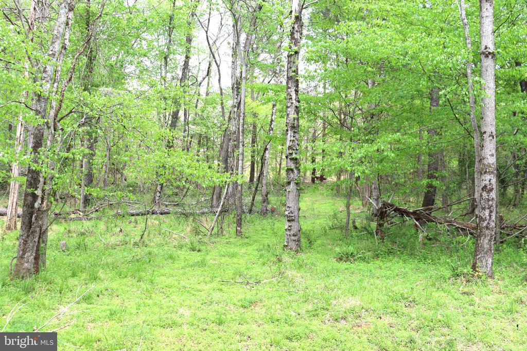 0 HAZEL RIVER RD, RIXEYVILLE, Virginia 22737, ,Land,0 HAZEL RIVER RD,VACU2013372 MLS # VACU2013372