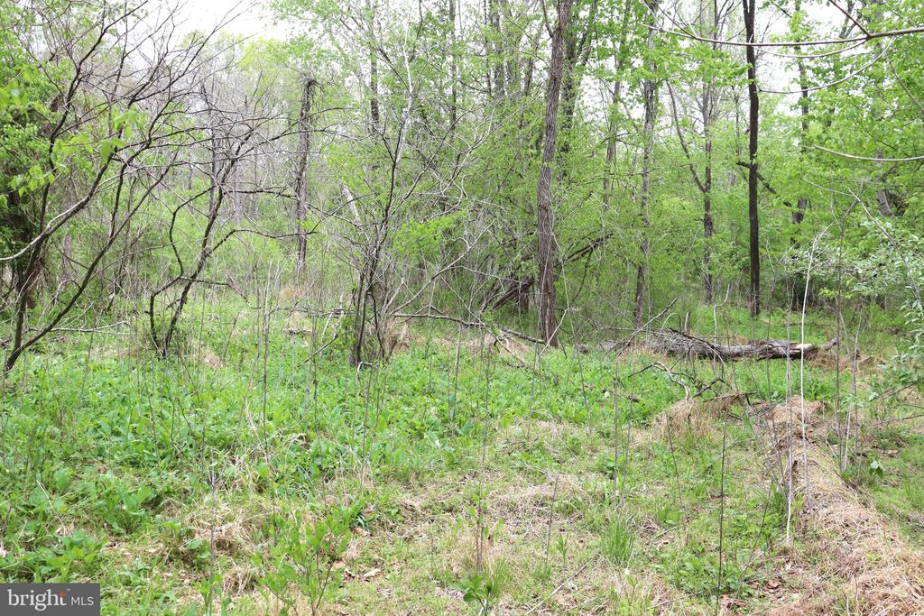 0 HAZEL RIVER RD, RIXEYVILLE, Virginia 22737, ,Land,0 HAZEL RIVER RD,VACU2013372 MLS # VACU2013372