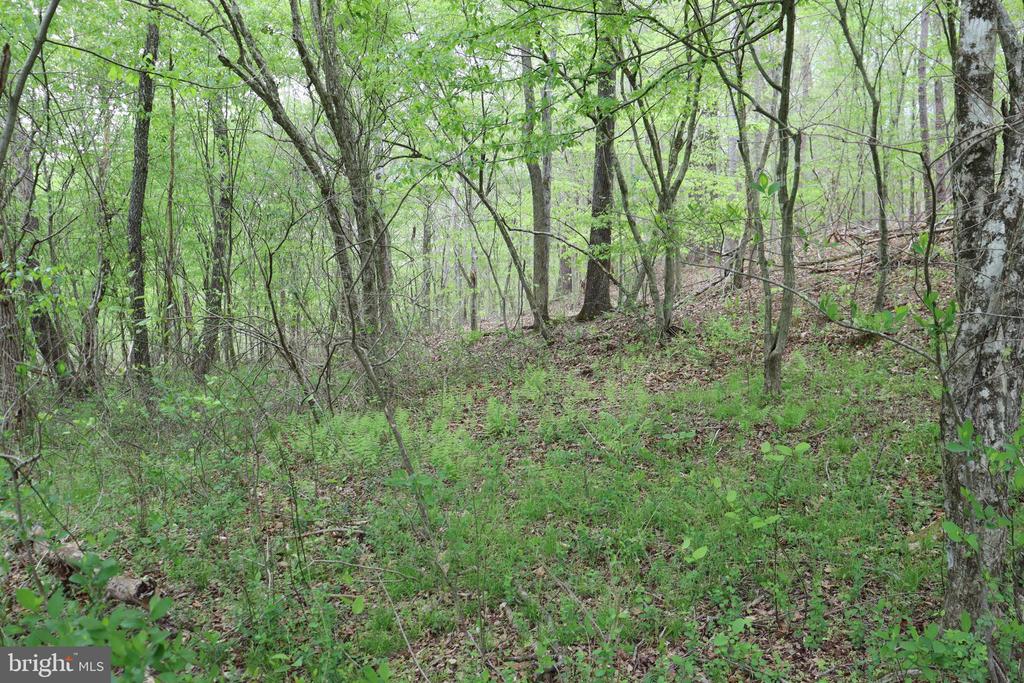 0 HAZEL RIVER RD, RIXEYVILLE, Virginia 22737, ,Land,0 HAZEL RIVER RD,VACU2013372 MLS # VACU2013372