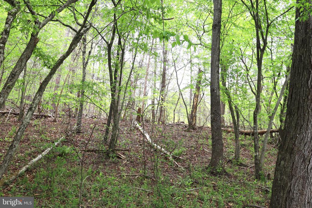 0 HAZEL RIVER RD, RIXEYVILLE, Virginia 22737, ,Land,0 HAZEL RIVER RD,VACU2013372 MLS # VACU2013372