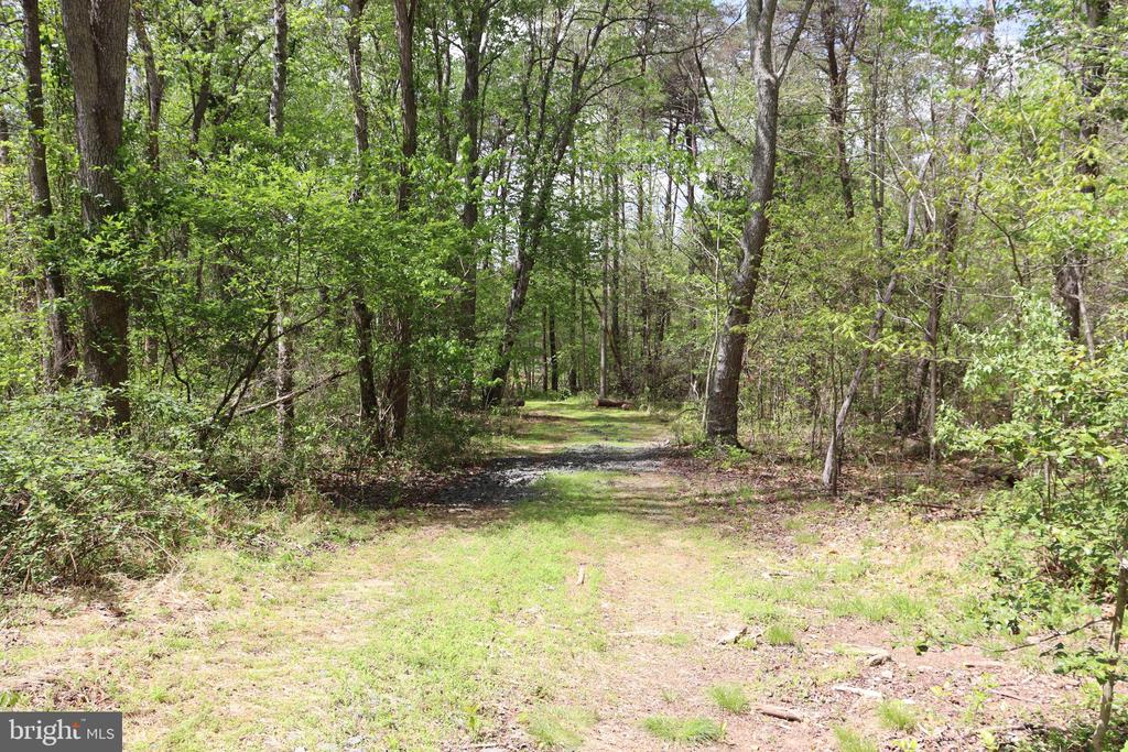 0 HAZEL RIVER RD, RIXEYVILLE, Virginia 22737, ,Land,0 HAZEL RIVER RD,VACU2013372 MLS # VACU2013372