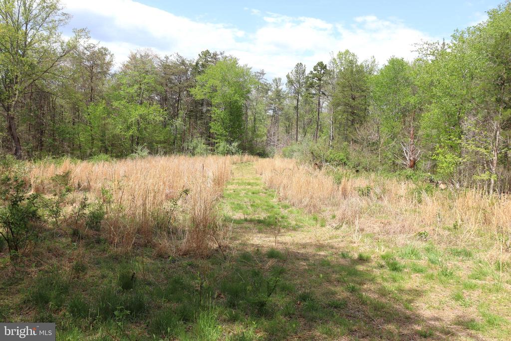 0 HAZEL RIVER RD, RIXEYVILLE, Virginia 22737, ,Land,0 HAZEL RIVER RD,VACU2013372 MLS # VACU2013372