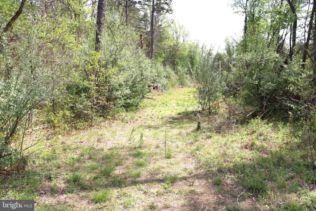 0 HAZEL RIVER RD, RIXEYVILLE, Virginia 22737, ,Land,0 HAZEL RIVER RD,VACU2013372 MLS # VACU2013372