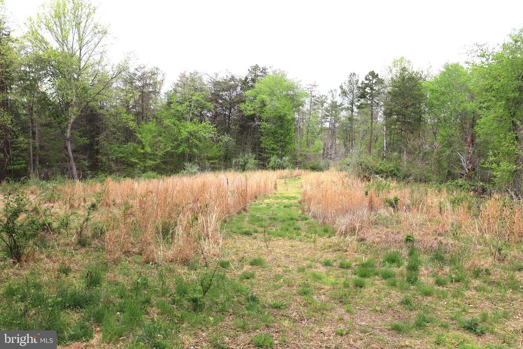 0 HAZEL RIVER RD, RIXEYVILLE, Virginia 22737, ,Land,0 HAZEL RIVER RD,VACU2013372 MLS # VACU2013372
