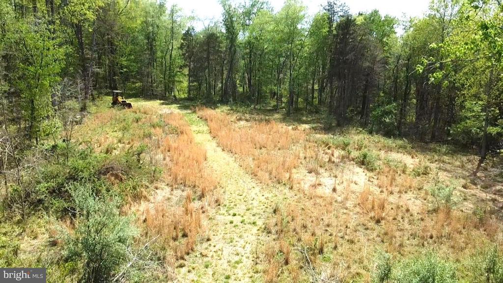 0 HAZEL RIVER RD, RIXEYVILLE, Virginia 22737, ,Land,0 HAZEL RIVER RD,VACU2013372 MLS # VACU2013372