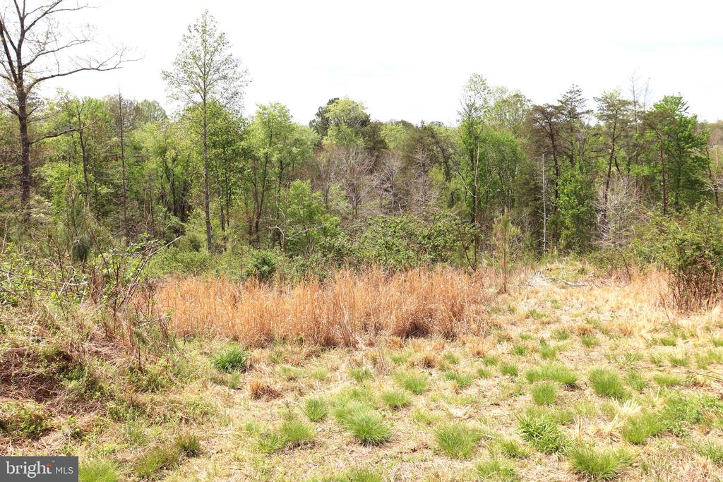 0 HAZEL RIVER RD, RIXEYVILLE, Virginia 22737, ,Land,0 HAZEL RIVER RD,VACU2013372 MLS # VACU2013372
