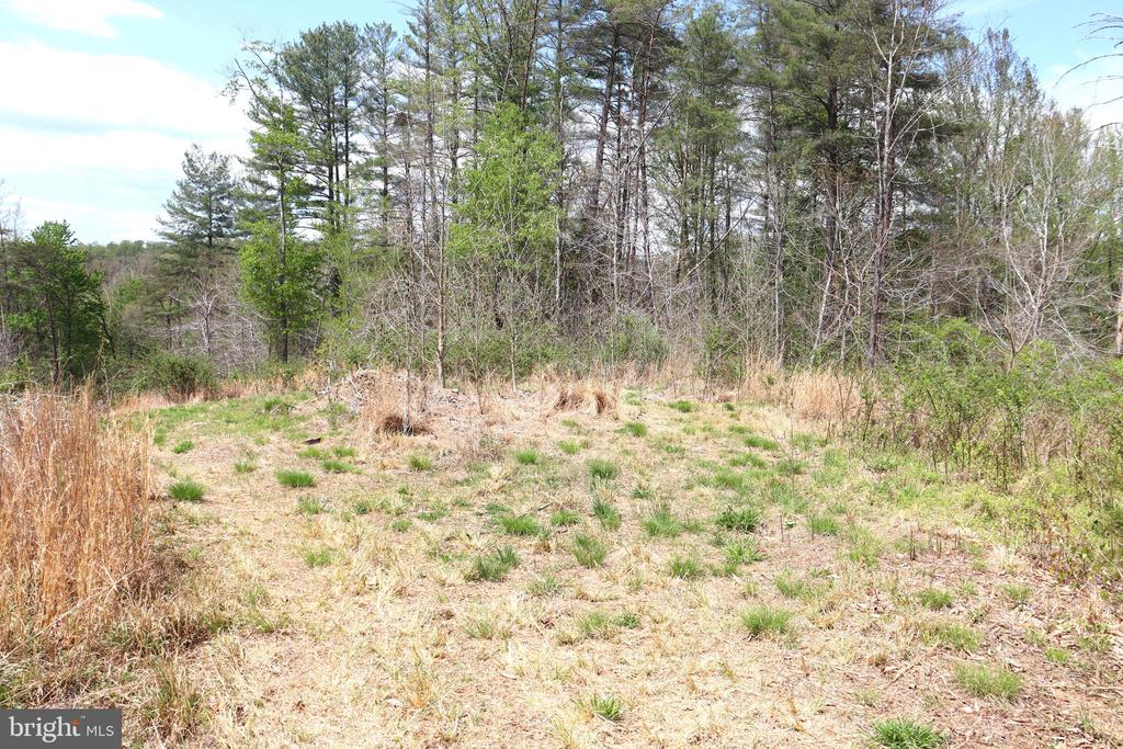 0 HAZEL RIVER RD, RIXEYVILLE, Virginia 22737, ,Land,0 HAZEL RIVER RD,VACU2013372 MLS # VACU2013372