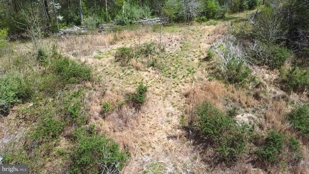 0 HAZEL RIVER RD, RIXEYVILLE, Virginia 22737, ,Land,0 HAZEL RIVER RD,VACU2013372 MLS # VACU2013372