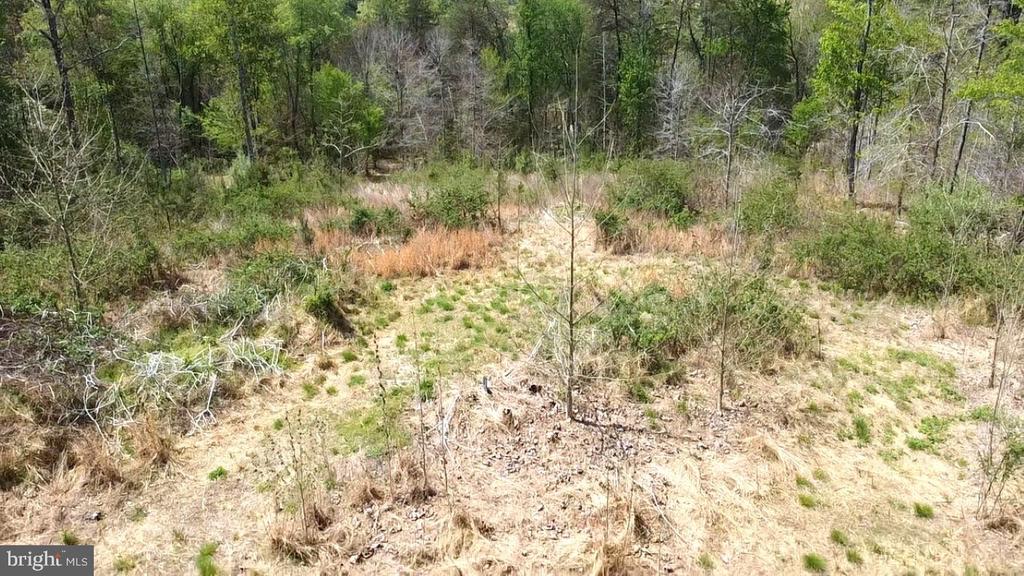 0 HAZEL RIVER RD, RIXEYVILLE, Virginia 22737, ,Land,0 HAZEL RIVER RD,VACU2013372 MLS # VACU2013372