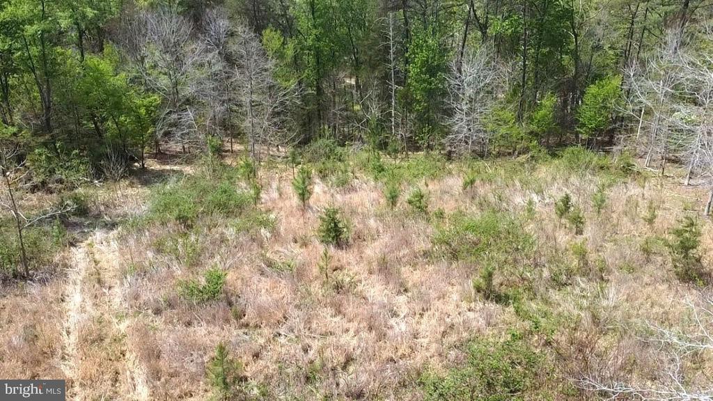 0 HAZEL RIVER RD, RIXEYVILLE, Virginia 22737, ,Land,0 HAZEL RIVER RD,VACU2013372 MLS # VACU2013372