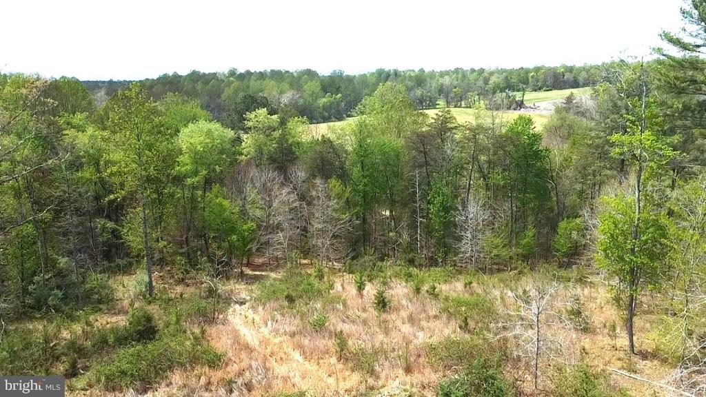 0 HAZEL RIVER RD, RIXEYVILLE, Virginia 22737, ,Land,0 HAZEL RIVER RD,VACU2013372 MLS # VACU2013372