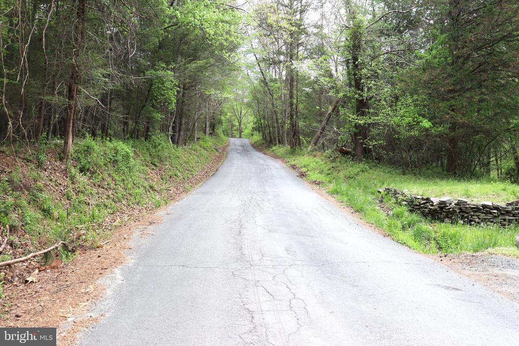 0 HAZEL RIVER RD, RIXEYVILLE, Virginia 22737, ,Land,0 HAZEL RIVER RD,VACU2013372 MLS # VACU2013372