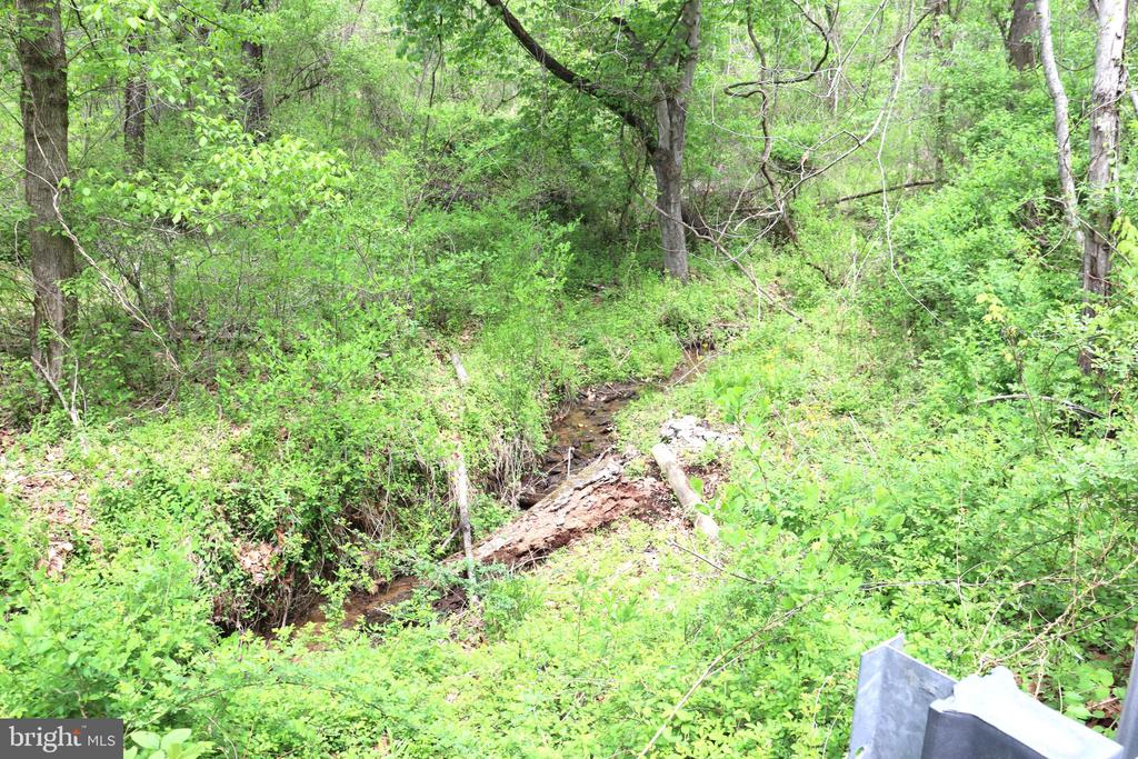 0 HAZEL RIVER RD, RIXEYVILLE, Virginia 22737, ,Land,0 HAZEL RIVER RD,VACU2013372 MLS # VACU2013372