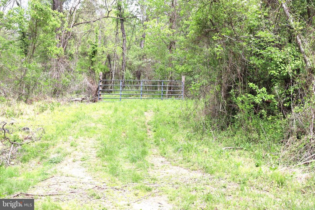 0 HAZEL RIVER RD, RIXEYVILLE, Virginia 22737, ,Land,0 HAZEL RIVER RD,VACU2013372 MLS # VACU2013372