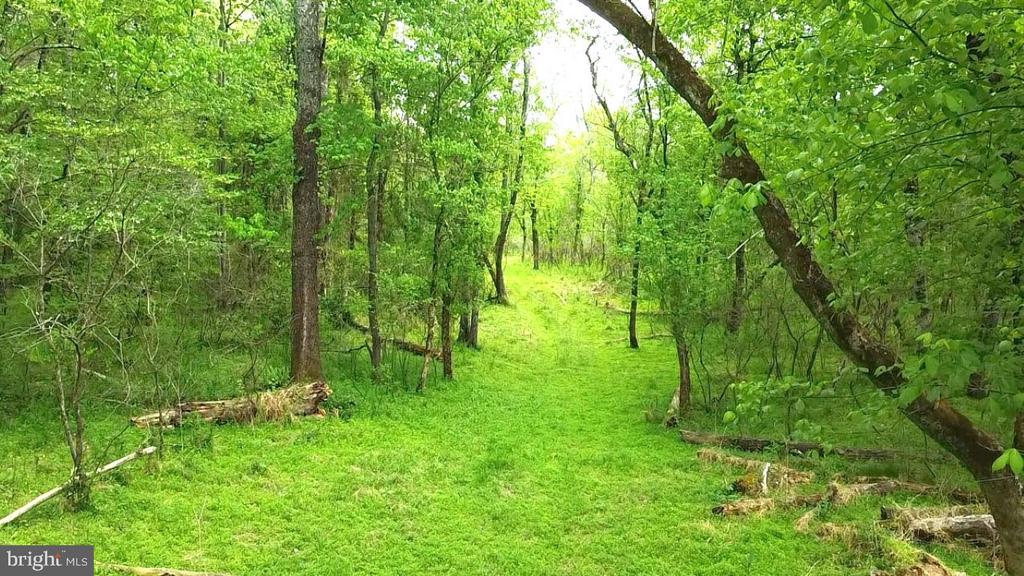 0 HAZEL RIVER RD, RIXEYVILLE, Virginia 22737, ,Land,0 HAZEL RIVER RD,VACU2013372 MLS # VACU2013372