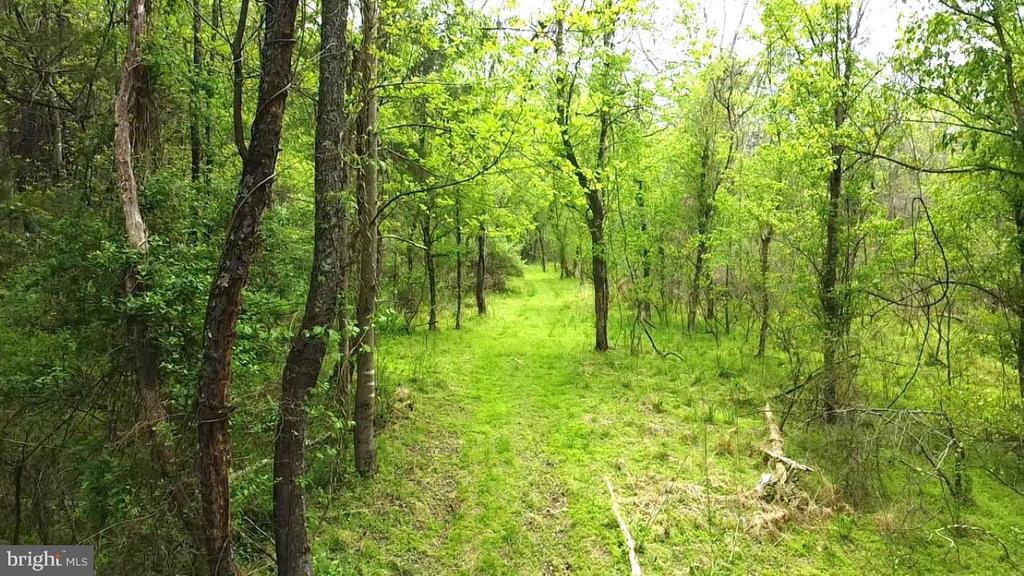 0 HAZEL RIVER RD, RIXEYVILLE, Virginia 22737, ,Land,0 HAZEL RIVER RD,VACU2013372 MLS # VACU2013372