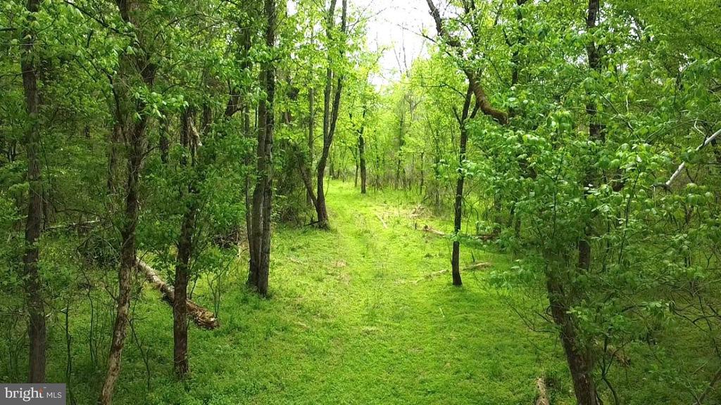 0 HAZEL RIVER RD, RIXEYVILLE, Virginia 22737, ,Land,0 HAZEL RIVER RD,VACU2013372 MLS # VACU2013372