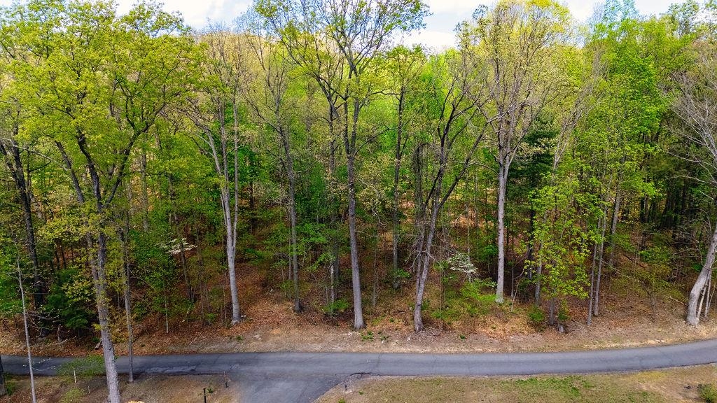 TBD HESSIAN LN, STAUNTON, Virginia 24401, ,Land,TBD HESSIAN LN,676182 MLS # 676182