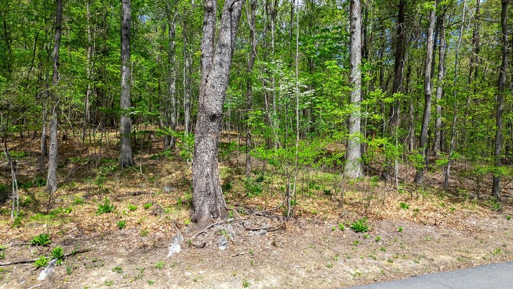 TBD HESSIAN LN, STAUNTON, Virginia 24401, ,Land,TBD HESSIAN LN,676182 MLS # 676182