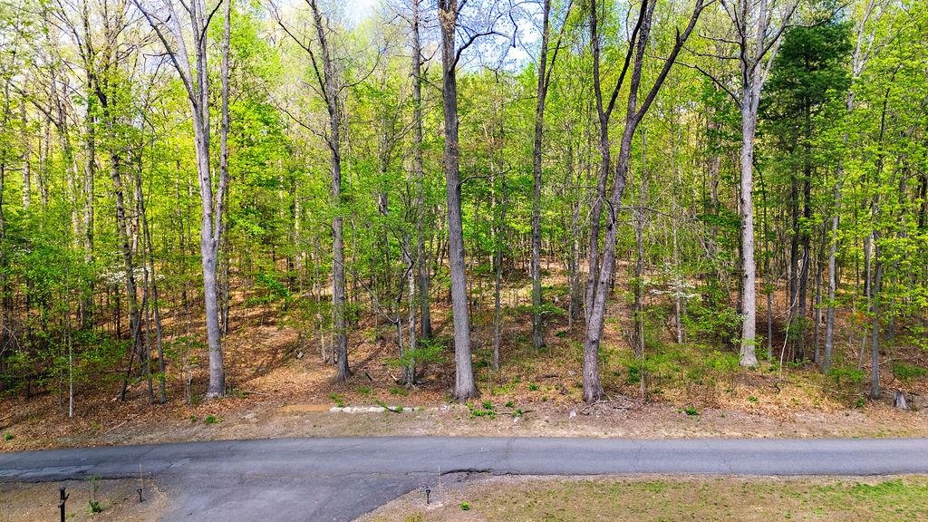 TBD HESSIAN LN, STAUNTON, Virginia 24401, ,Land,TBD HESSIAN LN,676182 MLS # 676182