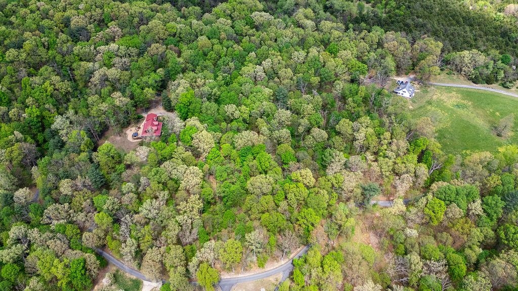 TBD HESSIAN LN, STAUNTON, Virginia 24401, ,Land,TBD HESSIAN LN,676182 MLS # 676182