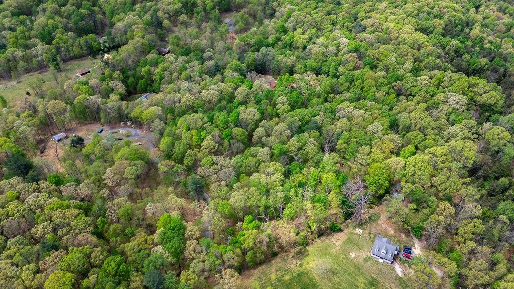 TBD HESSIAN LN, STAUNTON, Virginia 24401, ,Land,TBD HESSIAN LN,676182 MLS # 676182