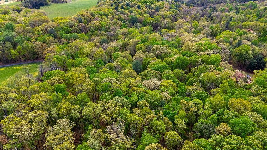 TBD HESSIAN LN, STAUNTON, Virginia 24401, ,Land,TBD HESSIAN LN,676182 MLS # 676182