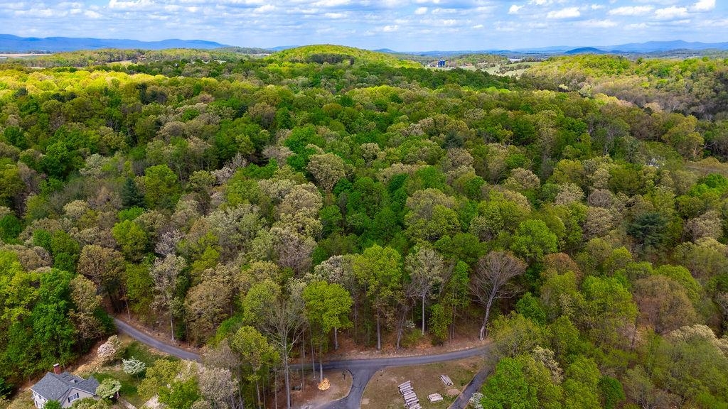 TBD HESSIAN LN, STAUNTON, Virginia 24401, ,Land,TBD HESSIAN LN,676182 MLS # 676182