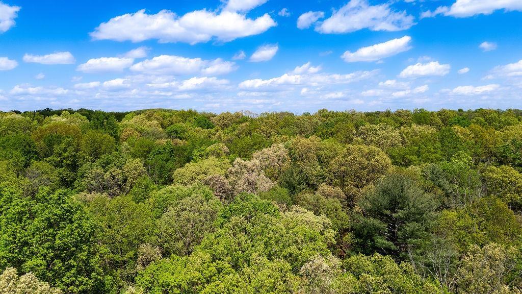 TBD HESSIAN LN, STAUNTON, Virginia 24401, ,Land,TBD HESSIAN LN,676182 MLS # 676182