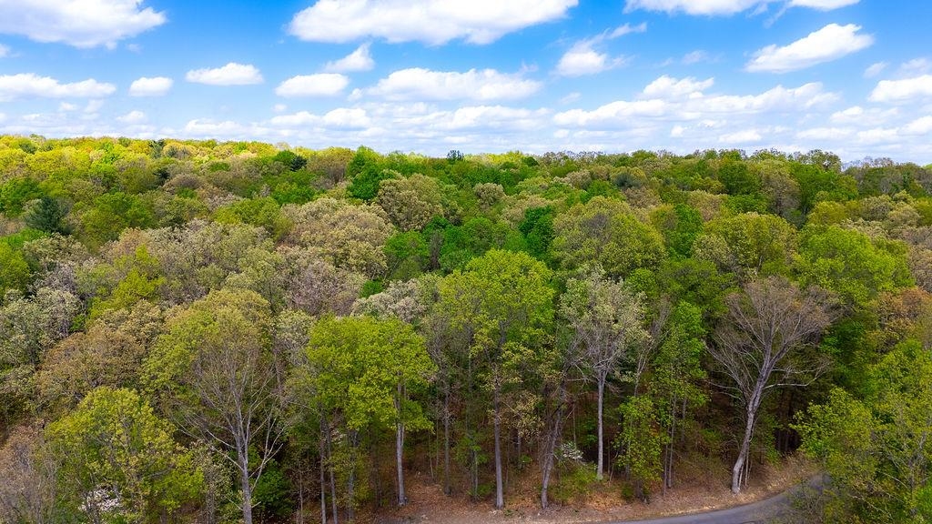 TBD HESSIAN LN, STAUNTON, Virginia 24401, ,Land,TBD HESSIAN LN,676182 MLS # 676182